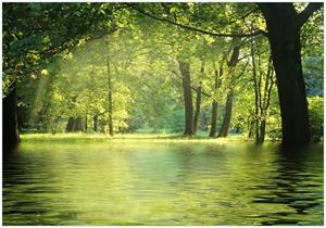 Wallario Vliestapete »Idyllischer See im Wald bei Sonnenschein«, Seidenmatte Oberfläche, hochwertiger Digitaldruck, in verschiedenen Größen erhältlich