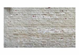 Basera Fototapete »Ziegelmotiv f-A-0507-x-b«, selbstklebend, mit UV-Schutz