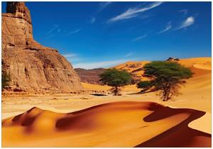 Wallario Vliestapete »In der Wüste Sahara«, Seidenmatte Oberfläche, hochwertiger Digitaldruck, in verschiedenen Größen erhältlich