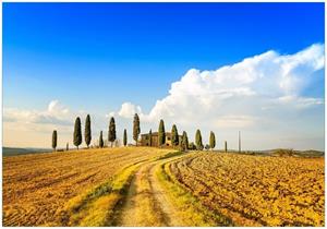 Wallario Vliestapete »Italien - Toskana unter blauem Himmel einsame Farm«, Seidenmatte Oberfläche, hochwertiger Digitaldruck, in verschiedenen Größen erhältlich