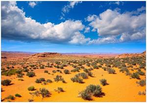 Wallario Vliestapete »Wüste in Arizona - blauer Himmel mit Wolken I«, Seidenmatte Oberfläche, hochwertiger Digitaldruck, in verschiedenen Größen erhältlich