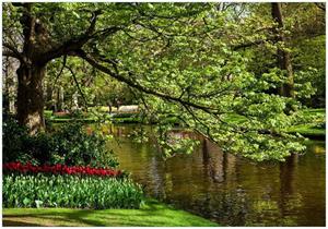 Wallario Vliestapete »Bunte Blumen im Park am Wasser - Frühblüher am Ufer«, Seidenmatte Oberfläche, hochwertiger Digitaldruck, in verschiedenen Größen erhält