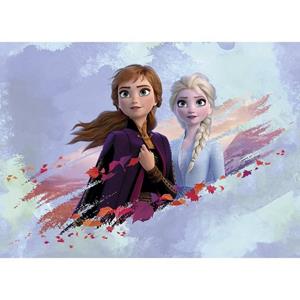 AG Design Fototapete »Wandtapete Disney Frozen, 160 x 110 cm«