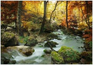 Wallario Vliestapete »Wasserfall mit moosbedeckten Steinen im Herbstwald«, Seidenmatte Oberfläche, hochwertiger Digitaldruck, in verschiedenen Größen erhältlich