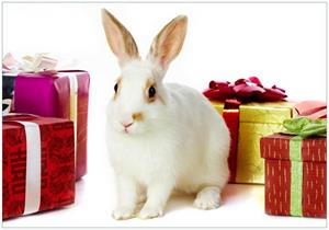 Wallario Vliestapete »Süßes Kaninchen mit bunten Geschenken«, Seidenmatte Oberfläche, hochwertiger Digitaldruck, in verschiedenen Größen erhältlich