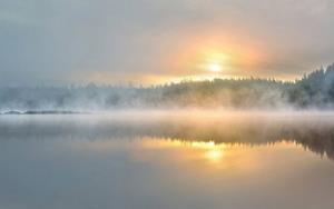 KUNSTLOFT Vliestapete »Foggy Morning«, lichtbeständige Design Tapete