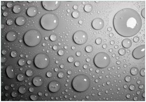 Wallario Vliestapete »Wassertropfen in schwarz weiß«, Seidenmatte Oberfläche, hochwertiger Digitaldruck, in verschiedenen Größen erhältlich