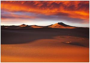 Wallario Vliestapete »Sahara Wüste II - Sanddünen im Sonnenuntergang«, Seidenmatte Oberfläche, hochwertiger Digitaldruck, in verschiedenen Größen erhältlich