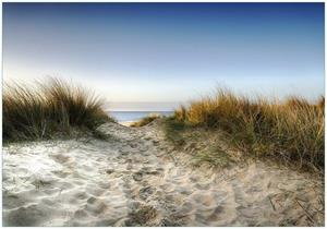 Wallario Vliestapete »Weg durch die Dünen zum Strand am Meer«, Seidenmatte Oberfläche, hochwertiger Digitaldruck, in verschiedenen Größen erhältlich