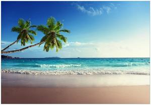 Wallario Vliestapete »Sandstrand auf den Seychellen - Urlaub unter Palmen«, Seidenmatte Oberfläche, hochwertiger Digitaldruck, in verschiedenen Größen erhältlich
