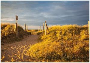 Wallario Vliestapete »Düne am Strand bei Sonnenuntergang in Frankreich«, Seidenmatte Oberfläche, hochwertiger Digitaldruck, in verschiedenen Größen erhältlich