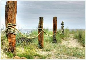 Wallario Vliestapete »Düne am Strand mit Holzpfahl«, Seidenmatte Oberfläche, hochwertiger Digitaldruck, in verschiedenen Größen erhältlich