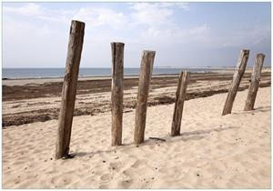 Wallario Vliestapete »Sandstrand mit Holzpfählen am Atlantischen Ozean«, Seidenmatte Oberfläche, hochwertiger Digitaldruck, in verschiedenen Größen erhältlich