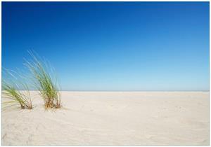 Wallario Vliestapete »Sandstrand unter blauem Himmel«, Seidenmatte Oberfläche, hochwertiger Digitaldruck, in verschiedenen Größen erhältlich