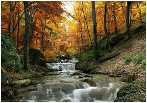 Wallario Vliestapete »Kleiner Bach über Steine im Herbstwald«, Seidenmatte Oberfläche, hochwertiger Digitaldruck, in verschiedenen Größen erhältlich