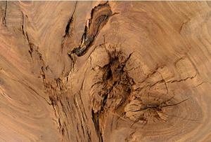 KUNSTLOFT Vliestapete »Log of Wood«, lichtbeständige Design Tapete