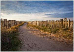 Wallario Vliestapete »Sandweg an einem Strand in Frankreich, Bretagne«, Seidenmatte Oberfläche, hochwertiger Digitaldruck, in verschiedenen Größen erhältlich