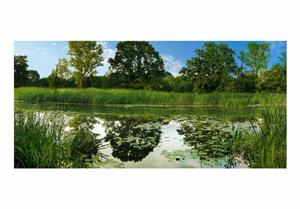 Basera Fototapete »Fluss- & Wasserfallmotiv c-A-0101-x-f«, selbstklebend, mit UV-Schutz