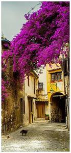 Wallario Türtapete »Malerische Stadt in der Provence mit bunten Blumen«, glatt, ohne Struktur