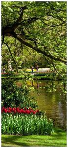 Wallario Türtapete »Bunte Blumen im Park am Wasser - Frühblüher am Ufer«, glatt, ohne Struktur