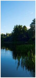 Wallario Türtapete »Malerischer See mit Schilf unter blauem Himmel«, glatt, ohne Struktur