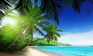 Wallarena Fototapete »Strand Meer Palmen Palm Natur Landschaft 3D EFFEKT Vlies Tapete für Wohnzimmer oder Schlafzimmer Vliestapete Wandtapete Motivtapete«, Glatt, Strand, Vliestapete 