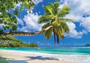 Wallarena Fototapete »Strand Palmen Natur Landschaft Meer Vlies Tapete für Wohnzimmer oder Schlafzimmer Vliestapete Wandtapete Motivtapete«, Glatt, Strand, Vliestapete inklusive Kleis