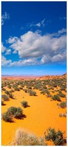 Wallario Türtapete »Wüste in Arizona - blauer Himmel mit Wolken I«, glatt, ohne Struktur