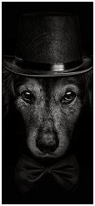 Wallario Türtapete »Eleganter Hund mit Zylinder in schwarz-weiß«, glatt, ohne Struktur