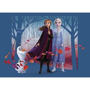 AG Design Fototapete »Wandtapete Disney Frozen, 160 x 110 cm«