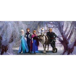 AG Design Fototapete »Wandtapete Disney Frozen, 202 x 90 cm«