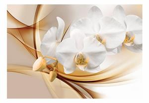 Basera Fototapete »Orchideenmotiv b-A-0213-a-b«, Vliestapete