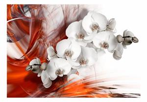 Basera Fototapete »Orchideenmotiv b-A-0218-a-b«, Vliestapete