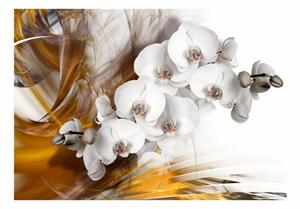 Basera Fototapete »Orchideenmotiv b-A-0218-a-c«, Vliestapete