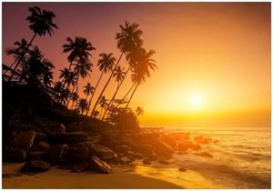 Wallario Vliestapete »Kokospalmen am Abend - Sonnenuntergang in Sri Lanka«, Seidenmatte Oberfläche, hochwertiger Digitaldruck, in verschiedenen Größen erhältlich