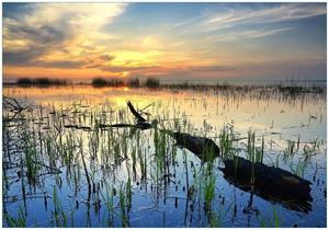 Wallario Vliestapete »Schilf am Abend - Sonnenuntergang über der Seelandschaft«, Seidenmatte Oberfläche, hochwertiger Digitaldruck, in verschiedenen Größen erhält