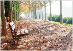 Wallario Vliestapete »Einsame Parkbank an einer Allee - Herbststimmung«, Seidenmatte Oberfläche, hochwertiger Digitaldruck, in verschiedenen Größen erhältlich