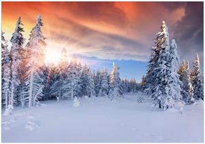 Wallario Vliestapete »Sonnenaufgang über einen Winterwald«, Seidenmatte Oberfläche, hochwertiger Digitaldruck, in verschiedenen Größen erhältlich