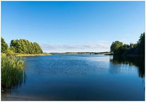 Wallario Vliestapete »Malerischer See mit Schilf unter blauem Himmel«, Seidenmatte Oberfläche, hochwertiger Digitaldruck, in verschiedenen Größen erhältlich