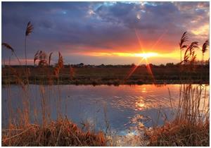 Wallario Vliestapete »Sonnenuntergang über dem Fluss, Gräser im Wind«, Seidenmatte Oberfläche, hochwertiger Digitaldruck, in verschiedenen Größen erhältlich