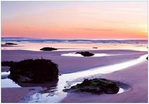 Wallario Vliestapete »Sonnenuntergang am einsamen Strand«, Seidenmatte Oberfläche, hochwertiger Digitaldruck, in verschiedenen Größen erhältlich