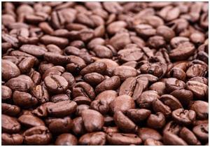 Wallario Vliestapete »Frisch geröstete Kaffeebohnen«, Seidenmatte Oberfläche, hochwertiger Digitaldruck, in verschiedenen Größen erhältlich