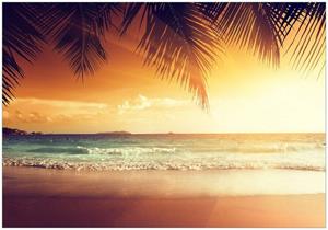 Wallario Vliestapete »Sonnenuntergang am Strand in der Karibik«, Seidenmatte Oberfläche, hochwertiger Digitaldruck, in verschiedenen Größen erhältlich