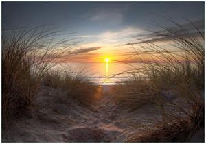 Wallario Vliestapete »Sonnenuntergang am Strand«, Seidenmatte Oberfläche, hochwertiger Digitaldruck, in verschiedenen Größen erhältlich