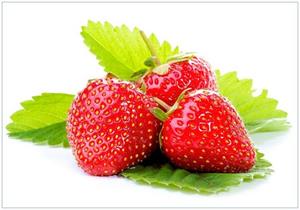 Wallario Vliestapete »Frische rote Erdbeeren für die Küche«, Seidenmatte Oberfläche, hochwertiger Digitaldruck, in verschiedenen Größen erhältlich