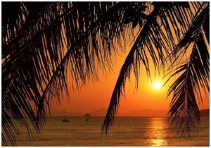Wallario Vliestapete »Sonnenuntergang unter Palmenblättern«, Seidenmatte Oberfläche, hochwertiger Digitaldruck, in verschiedenen Größen erhältlich