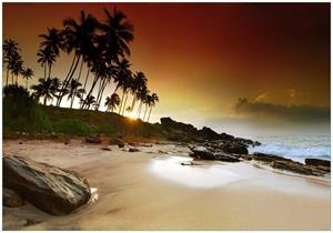 Wallario Vliestapete »Sri Lanka - Palmenstrand mit Sonnenuntergang«, Seidenmatte Oberfläche, hochwertiger Digitaldruck, in verschiedenen Größen erhältlich