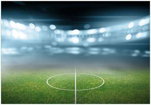 Wallario Vliestapete »Fußball Stadion Mittellinie II«, Seidenmatte Oberfläche, hochwertiger Digitaldruck, in verschiedenen Größen erhältlich