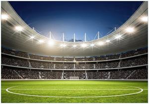 Wallario Vliestapete »Fußballstadion Mittellinie«, Seidenmatte Oberfläche, hochwertiger Digitaldruck, in verschiedenen Größen erhältlich