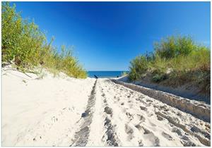 Wallario Vliestapete »Auf dem Sandweg zum Strand - Blauer Himmel über dem Meer«, Seidenmatte Oberfläche, hochwertiger Digitaldruck, in verschiedenen Größen erhält